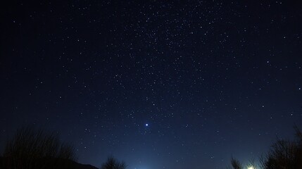 Obraz premium Vibrant Starry Night Sky with Dark Silhouette of Trees and Glowing Nighttime