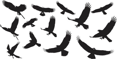 A collection of vector silhouettes of flying birds like an eagle, hawk, and dove in black