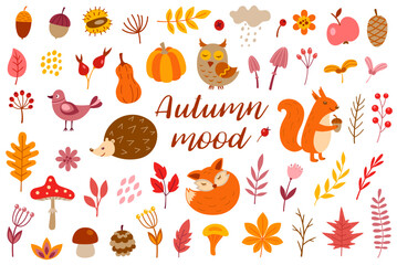 Illustration of autumn themed cartoon elements