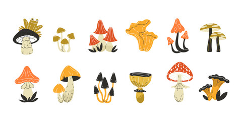 Mushroom illustrations with a frog on one