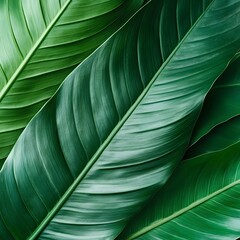  Lush Green Tropical Leaves Background Texture