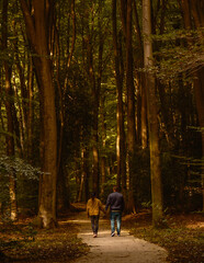 Couple walks along a peaceful trail surrounded by tall trees in Speulderbos, Veluwe. The golden hues of autumn create a warm and inviting atmosphere, perfect for a romantic outing in nature.