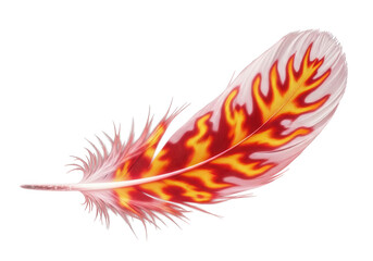 Feather with Fiery Flame Pattern on Black Background fire burning isolated on a transparent background