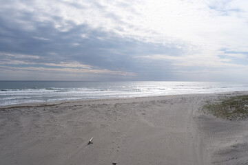 潮騒橋から見る遠州灘の千浜砂丘