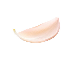 A single fresh peeled garlic clove isolated on a white background.