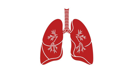 Anatomical lung illustration in a minimalist style for health and science visuals