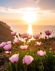 Sunset blooms by the sea