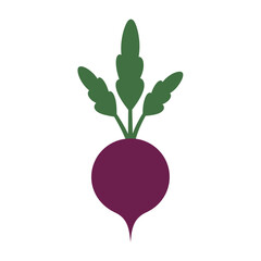 Stylized beet illustration with vibrant color palette offering natural simplicity