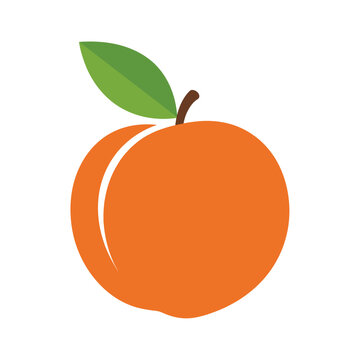 Vibrant minimalist vector illustration of a peach with a leaf on a white background