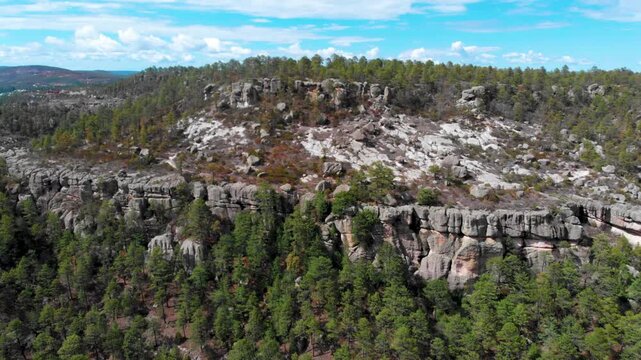 un entorno de terreno rocoso y y pinos verdes en un bosque bajo un cielo azul con nubles blancas en un d&iacute;a de verano en la sierra entre Sonora y chihuahua M&eacute;xico