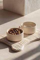 Ceramic pet food and water bowls, modern and simple interior