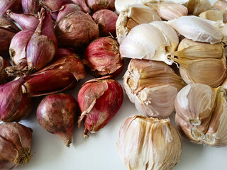 garlic and shallot bulb