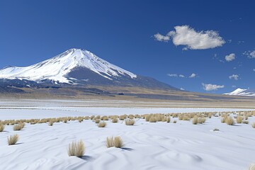 A stunning view of a snow-capped mountain against a clear blue sky, with sparse vegetation in the foreground.
