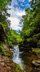 River flows through lush green gorge