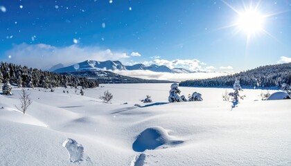 Snowy landscape under a bright sun