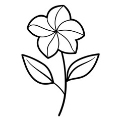 leadwort plumbago line art vector on white background