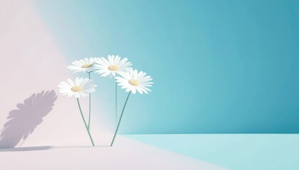 白い小さなコスモスが咲いている3dのシンプルな背景