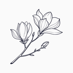 Elegant Magnolia Flower Outline Clean Floral Design.