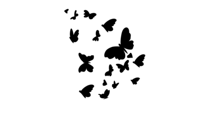 A flock of black butterflies flying against a white background