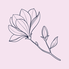 Elegant Magnolia Flower Outline Clean Floral Design.