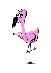 Flamingo