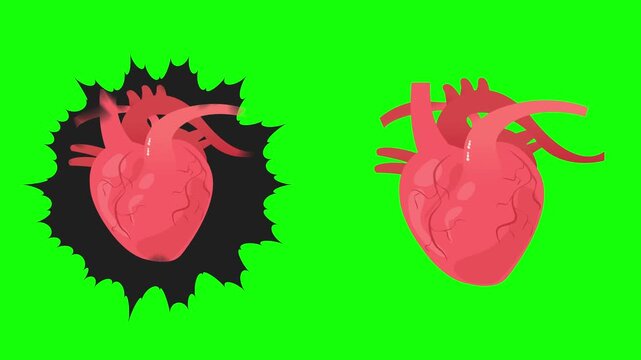 脈打つ心臓のアニメーション