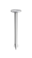 Metal nail, isolated