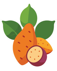 Vector art of sweet potato illustration with leaves