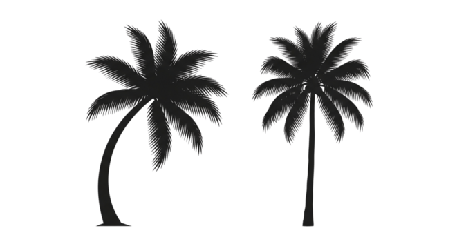 Tropical Palm Icon Collection isolated on transparent background