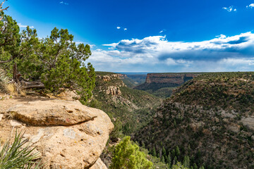 Ancient Cliff Dwellings at Mesa Verde National Park, Colorado