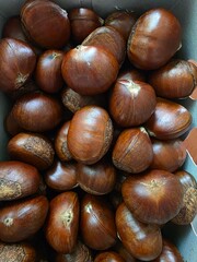 roasted Chestnut in paper box