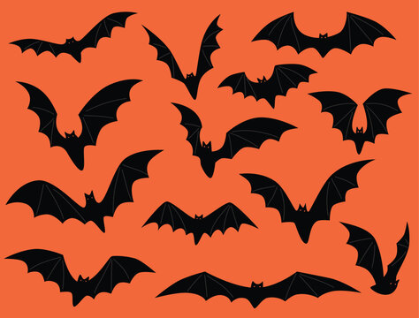 Set of Halloween bats on orange background. Elements for Halloween decorations. Hand drawn vector design elements.