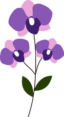 the most beautiful flowers  vector