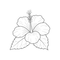 Fototapeta premium Vector art of hibiscus flower outline, a beautiful tropical bloom