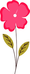 the most beautiful flower  vector