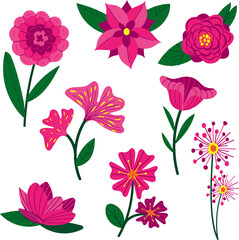 the most beautiful flowers  vector