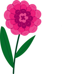 the most beautiful flower vector