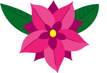 the most beautiful flower  vector