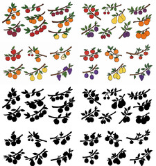 Fruit branches with apples, pears, and grapes