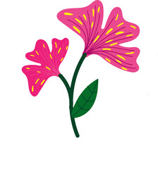 the most beautiful flower vector