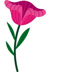 the most beautiful flower vector