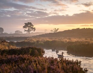 Misty sunrise over heath with birds