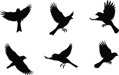Black bird silhouettes flying and perched, isolated vector illustration, wildlife design elements, avian motion poses, decorative animal icons, nature clipart, flock artwork, graphic set