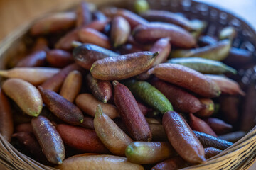 Citrus australasica, the finger lime or caviar lime.  Laulima Farm Fruit Stand, The Road to Hana, Maui, Hawaii