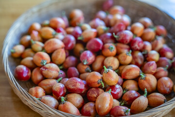 Laulima Farm Fruit Stand, The Road to Hana, Maui, Hawaii. Bunchosia argentea, known as silver peanut butter fruit, is a species of flowering plant in the acerola family, Malpighiaceae.