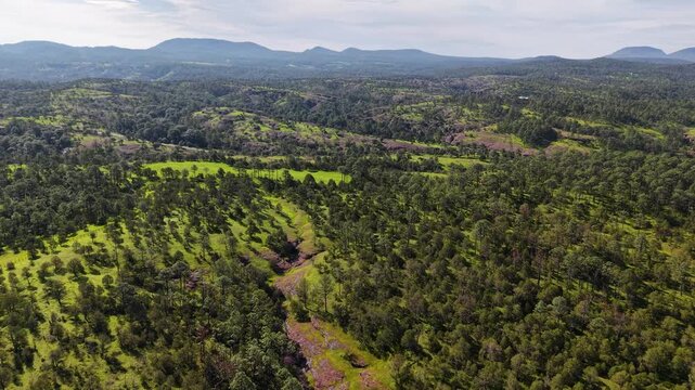 Sierra verde de Sonora Mexico en verano, toma aerea con dron, bosque verde, 
