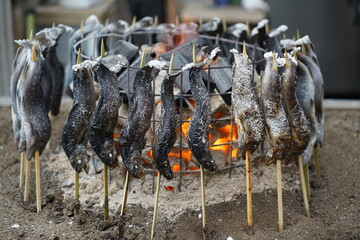 Traditional Japanese style grilled fish skewered on sticks arranged around a charcoal fire, rustic cooking method highlighting authentic outdoor street food.