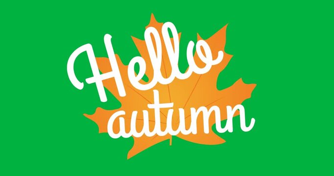Animation of hello autumn over fall leaf on transparent background