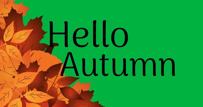 Animation of hello autumn over fall leaves on transparent background