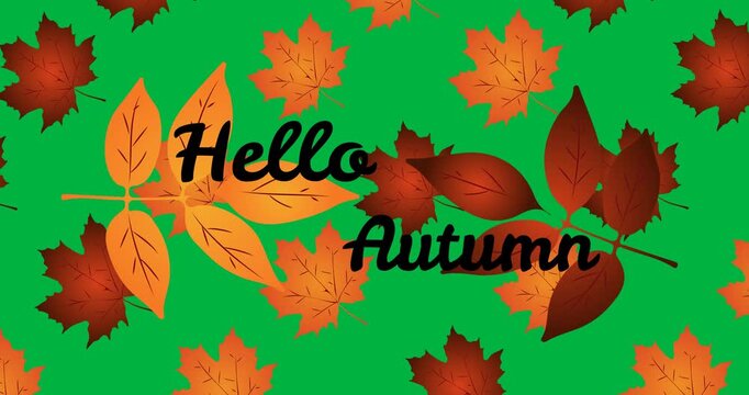 Animation of hello autumn over fall leaves on transparent background